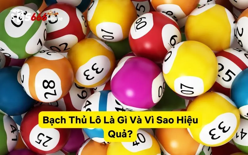 Bạch Thủ Lô Là Gì Và Vì Sao Hiệu Quả?