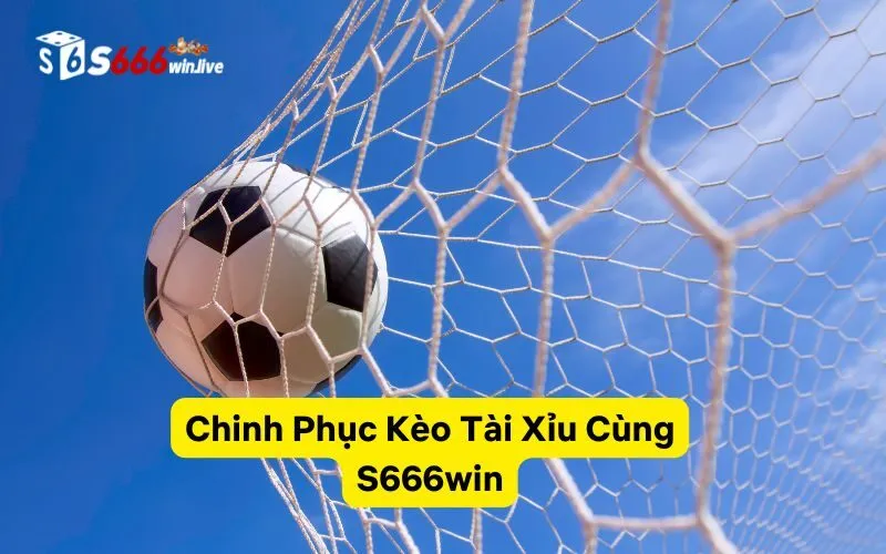 Chinh Phục Kèo Tài Xỉu Cùng S666win