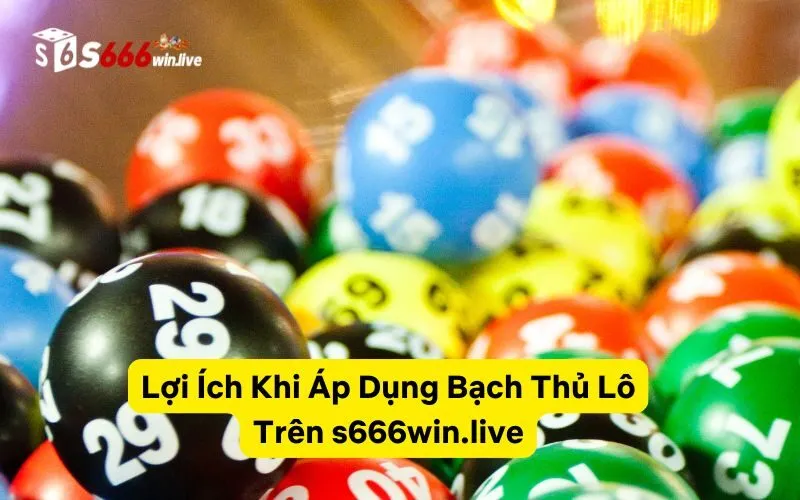 Lợi Ích Khi Áp Dụng Bạch Thủ Lô Trên s666win.live