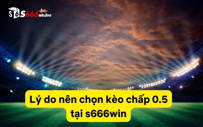 Lý do nên chọn kèo chấp 0.5 tại s666win