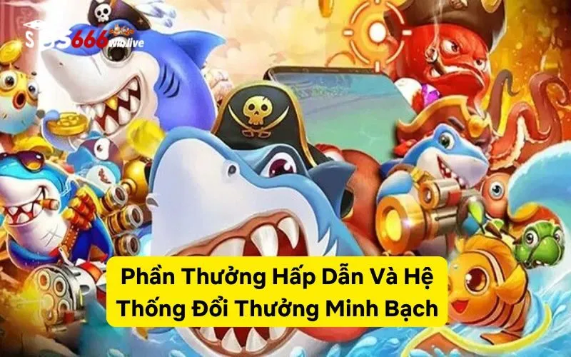 Phần Thưởng Hấp Dẫn Và Hệ Thống Đổi Thưởng Minh Bạch