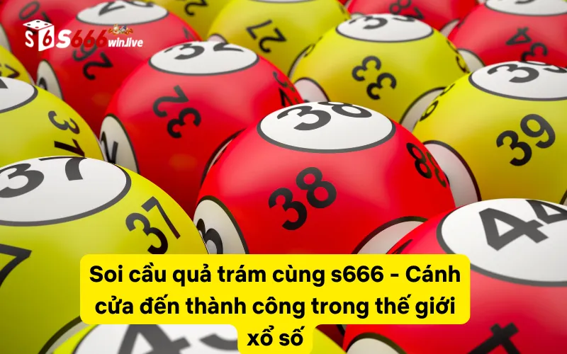 Soi cầu quả trám cùng s666 - Cánh cửa đến thành công trong thế giới xổ số