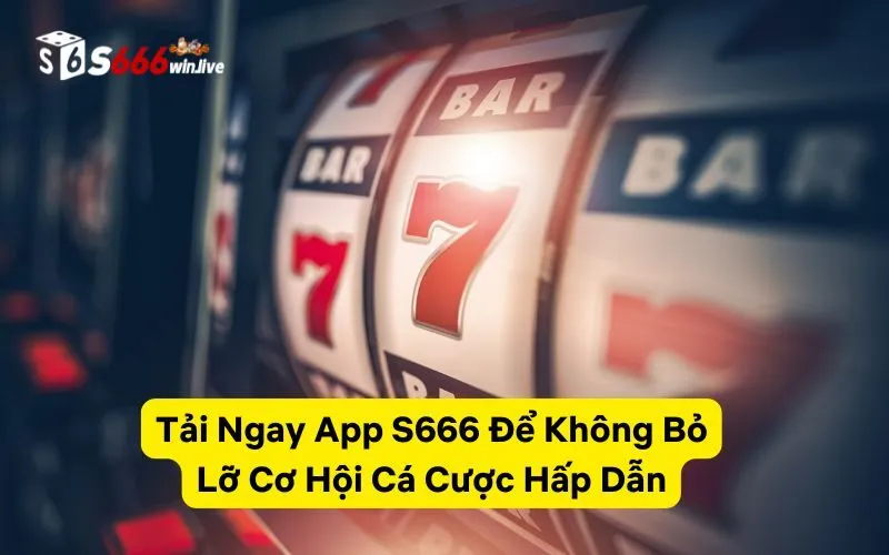 Tải Ngay App S666 Để Không Bỏ Lỡ Cơ Hội Cá Cược Hấp Dẫn