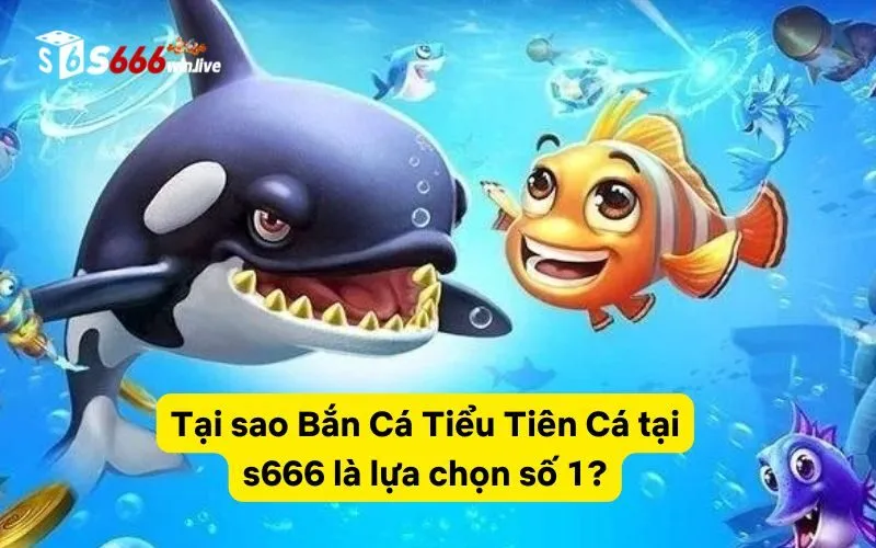 Tại sao Bắn Cá Tiểu Tiên Cá tại s666 là lựa chọn số 1?