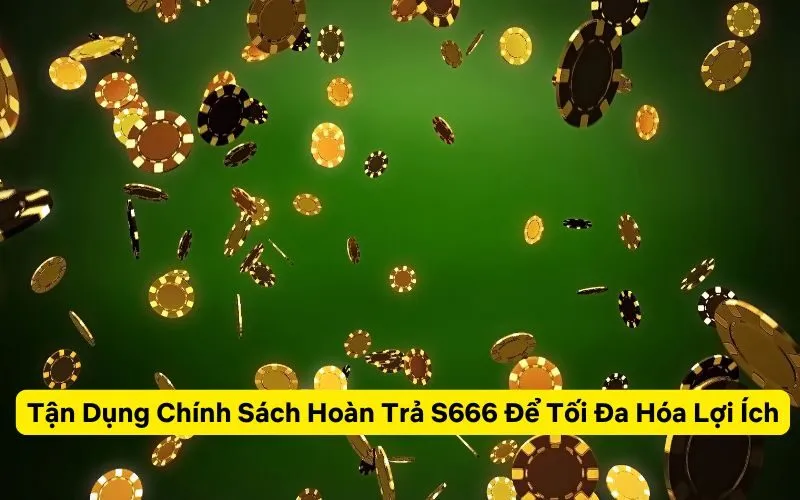 Tận Dụng Chính Sách Hoàn Trả S666 Để Tối Đa Hóa Lợi Ích