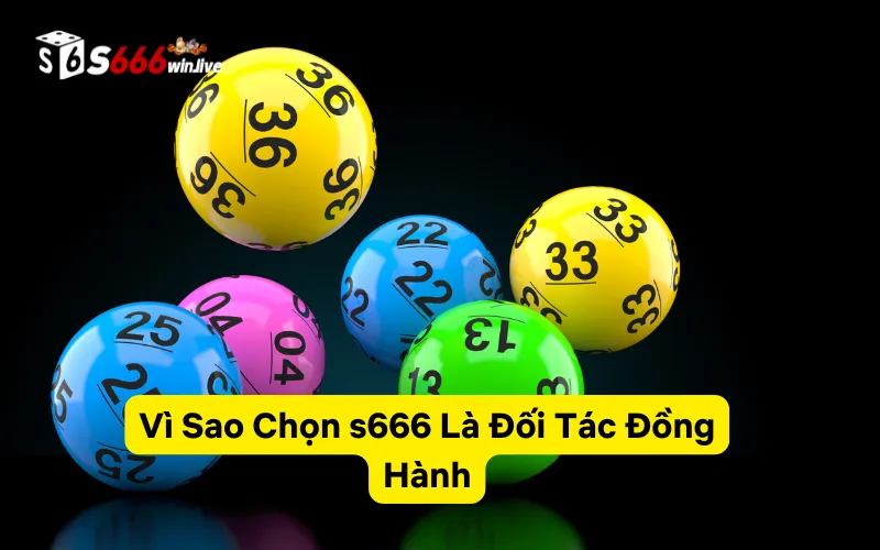 Vì Sao Chọn s666 Là Đối Tác Đồng Hành