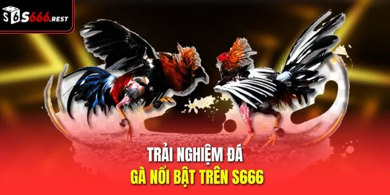 Trải nghiệm đá gà nổi bật trên S666